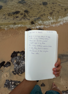 Journal wellbeing economies brazil
