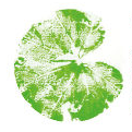 Teachers for Future logo