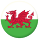 wales-button